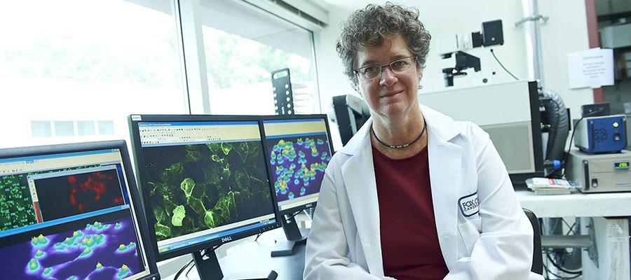 Erica Golemis, PhD