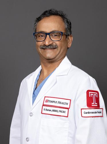 Ravishankar Raman