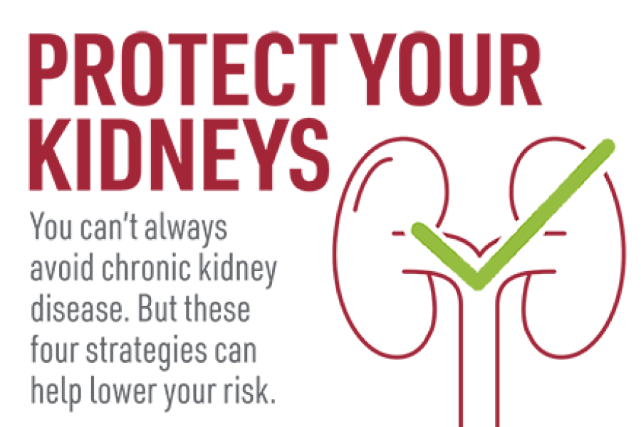 kidney
