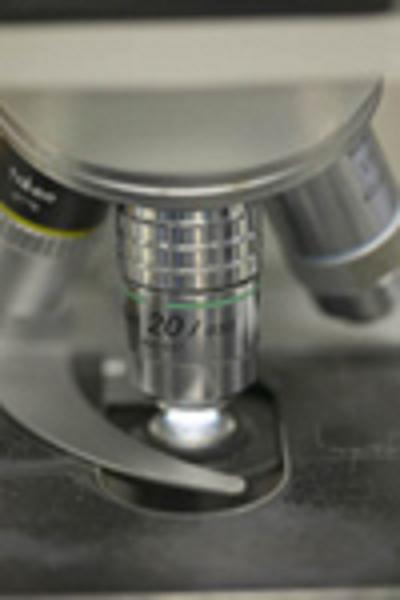 Microscope