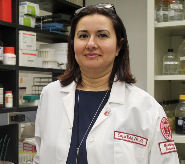 Çagla Tükel, PhD